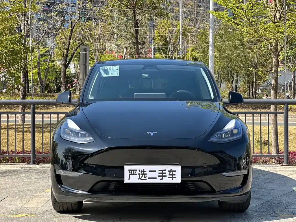 Tesla Model Y — фото 6