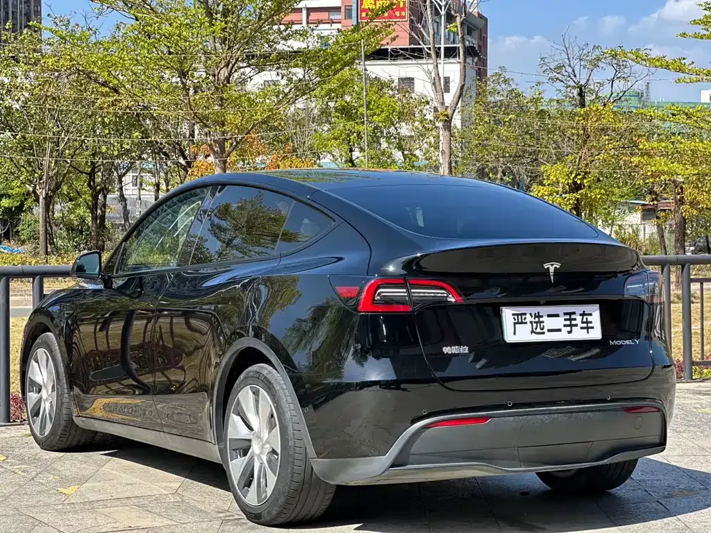 Tesla Model Y — фото 8