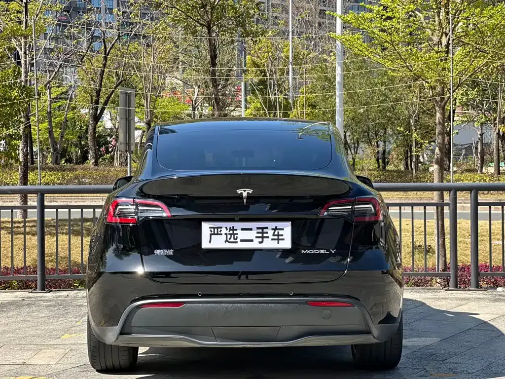 Tesla Model Y — фото 10