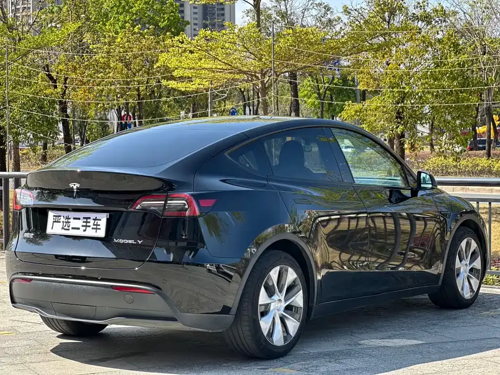 Tesla Model Y — фото 7