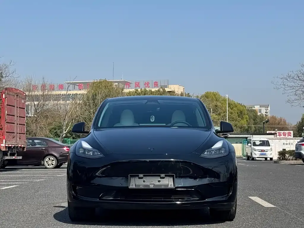 Tesla Model Y — фото 10