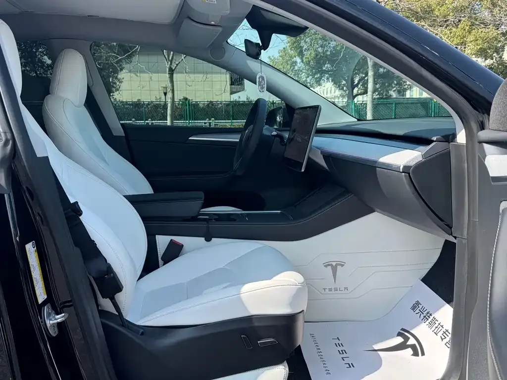 Tesla Model Y — фото 9