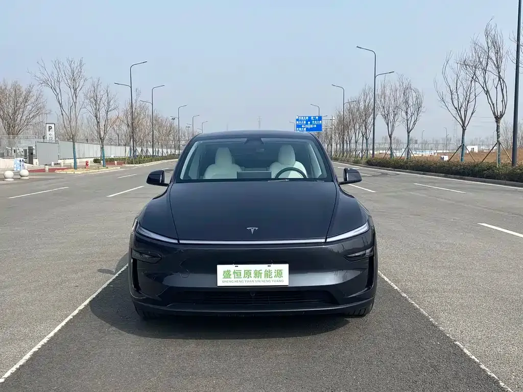 Tesla Model Y — фото 10