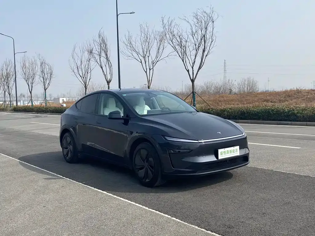 Tesla Model Y — фото 4
