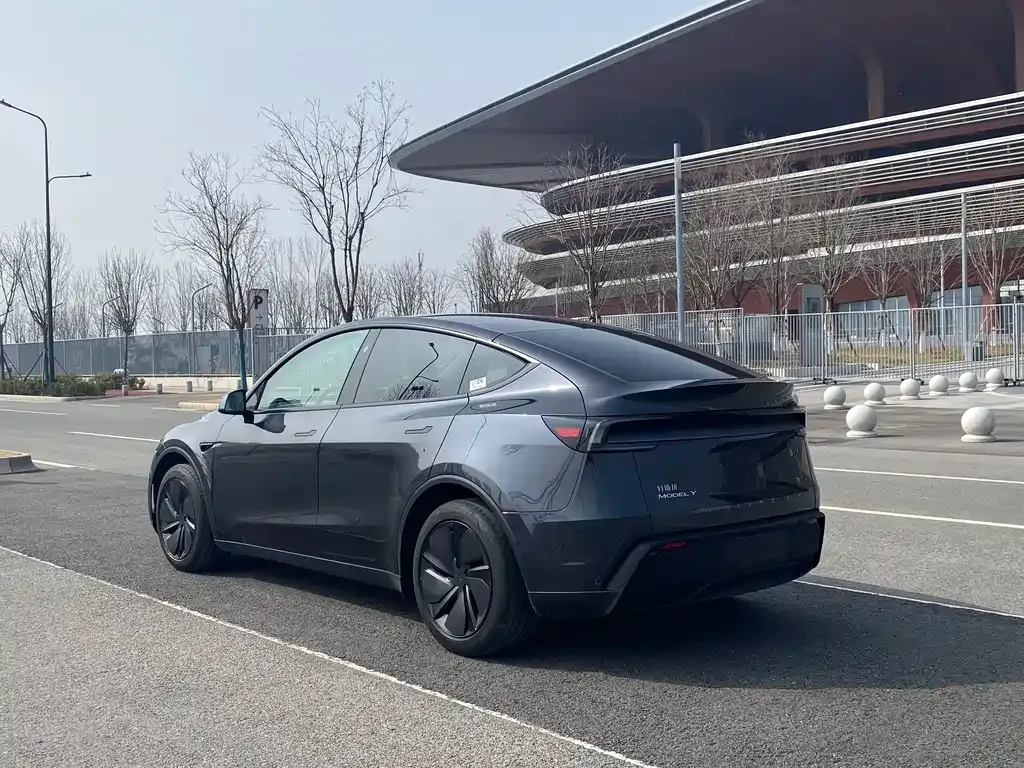 Tesla Model Y — фото 5