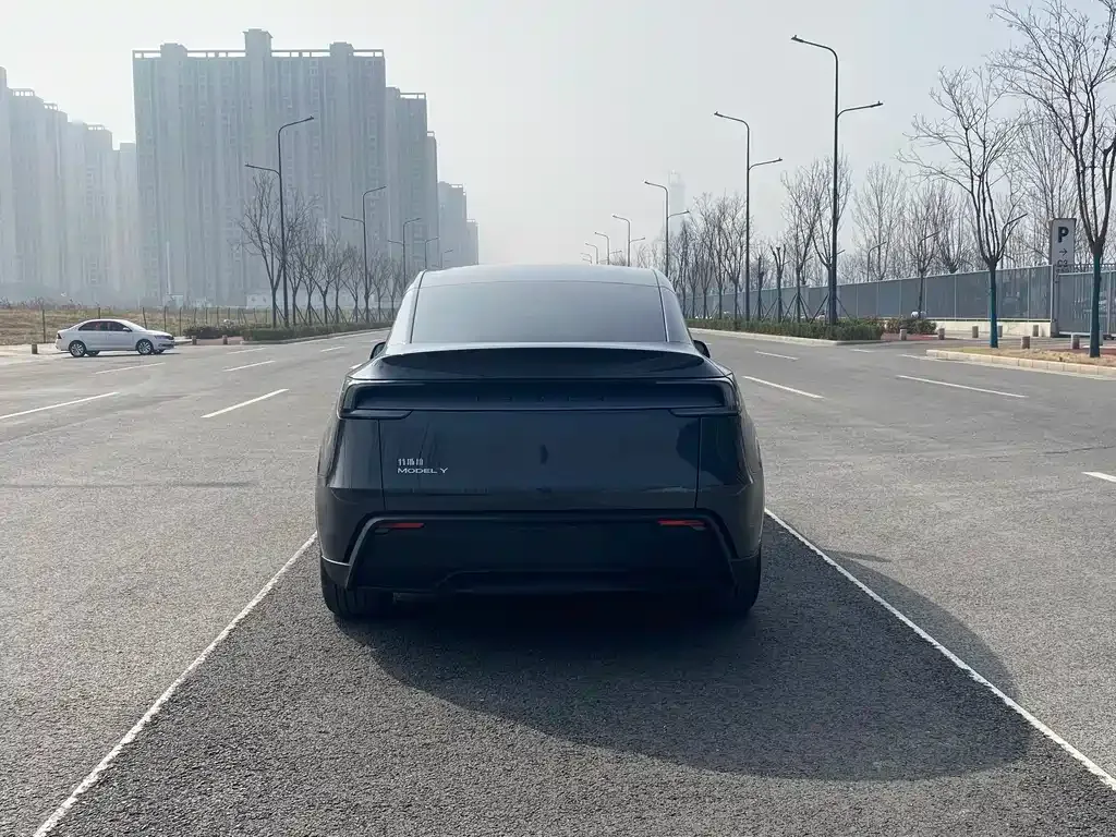 Tesla Model Y — фото 6