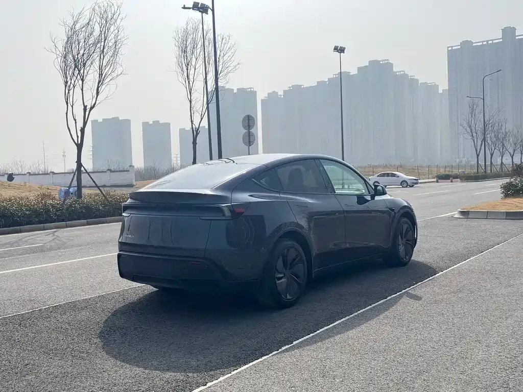 Tesla Model Y — фото 9