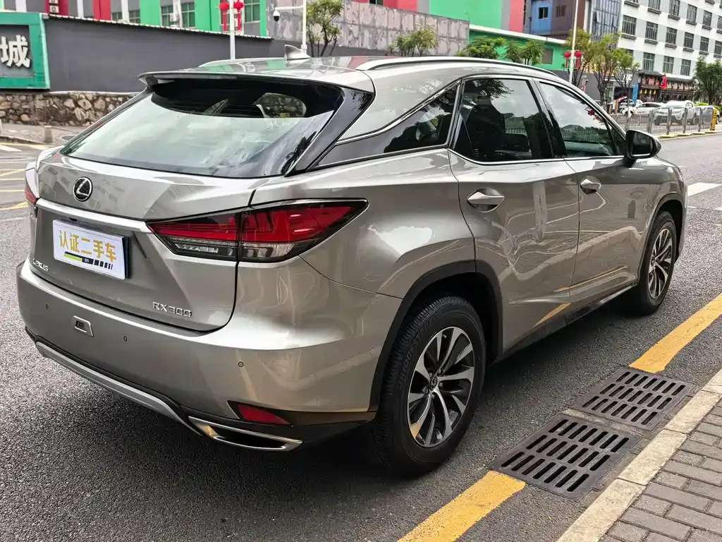 Lexus RX — фото 10