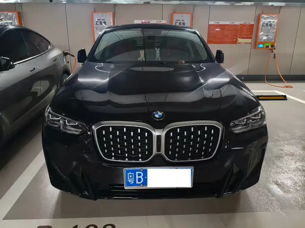 BMW X4 2023 из CN, фото 3