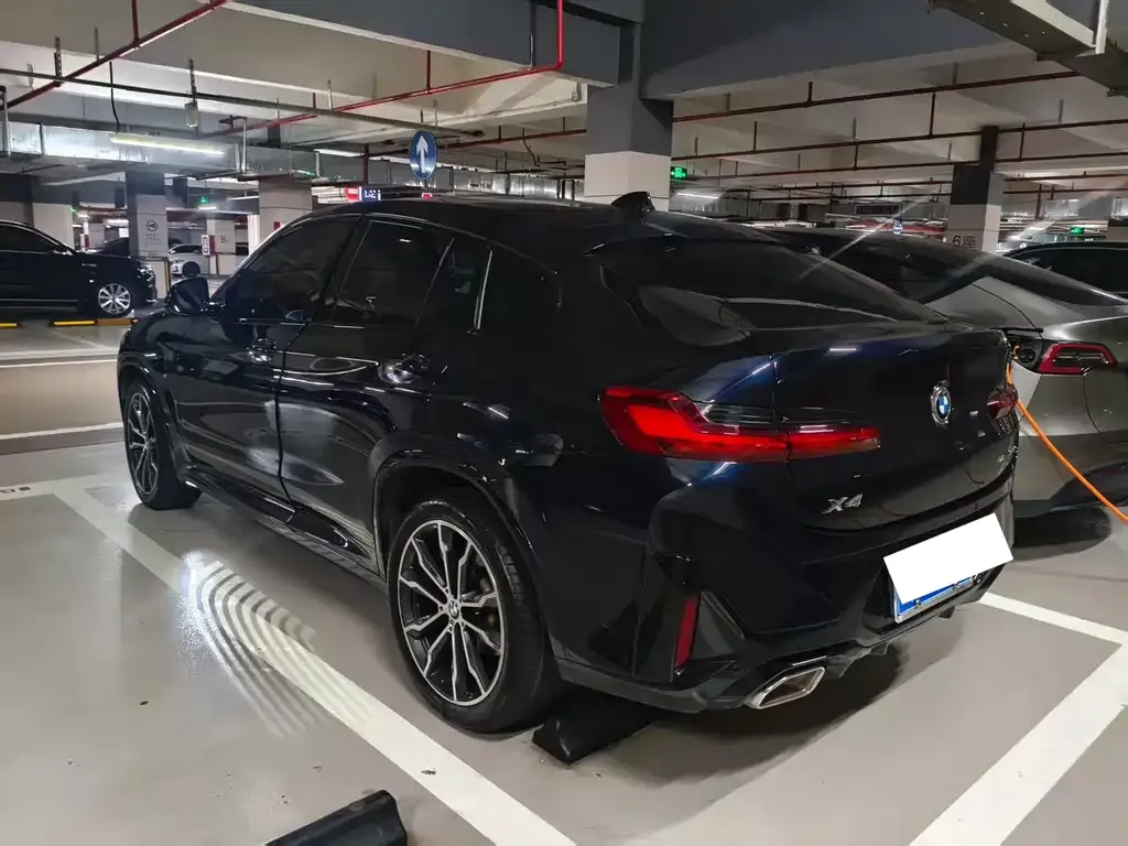 BMW X4 2023 из CN, фото 2