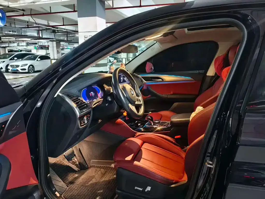 BMW X4 2023 из CN, фото 5