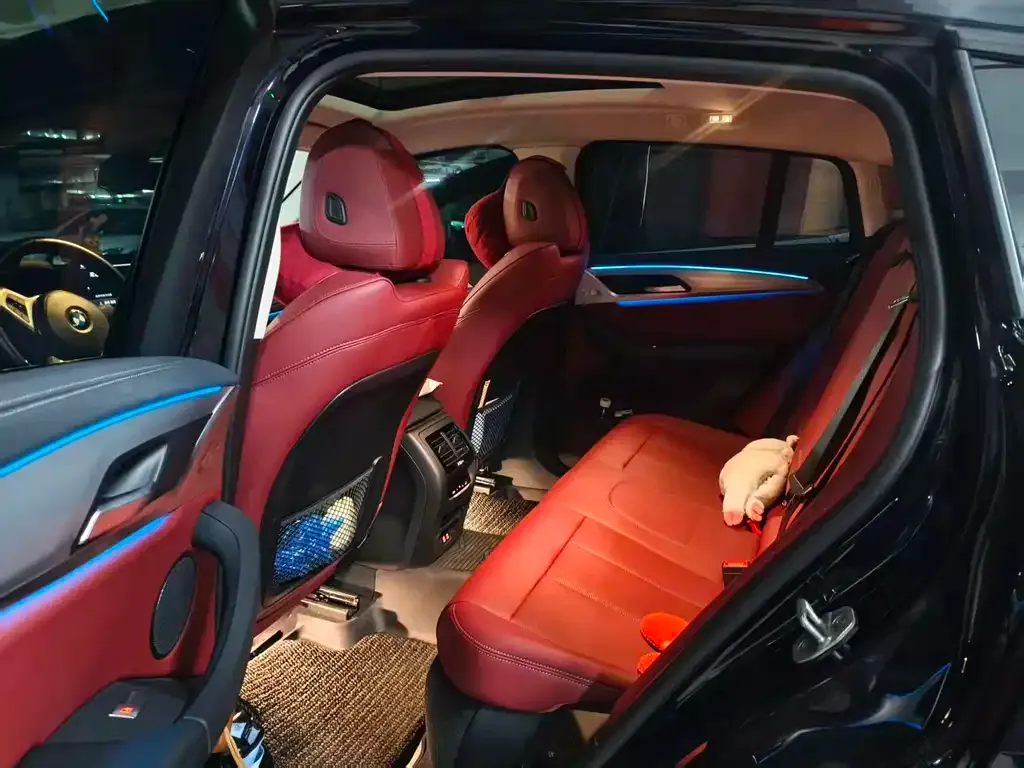 BMW X4 2023 из CN, фото 6