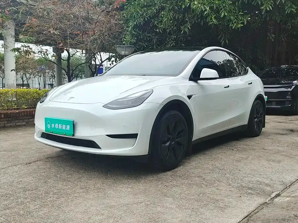 Tesla Model Y — фото 1