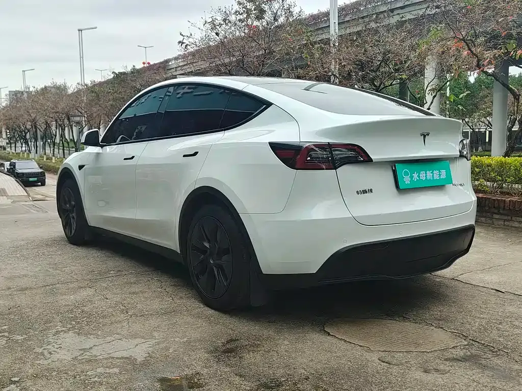 Tesla Model Y — фото 6