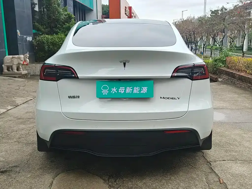 Tesla Model Y — фото 8