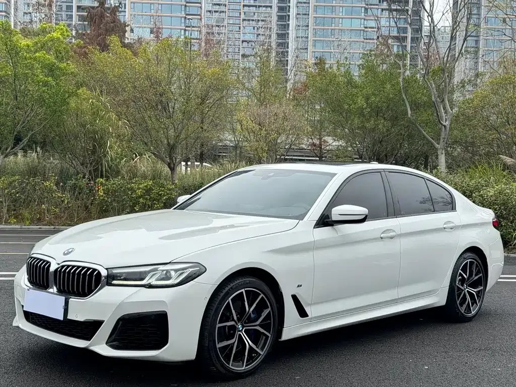 BMW 5 Series (Import)