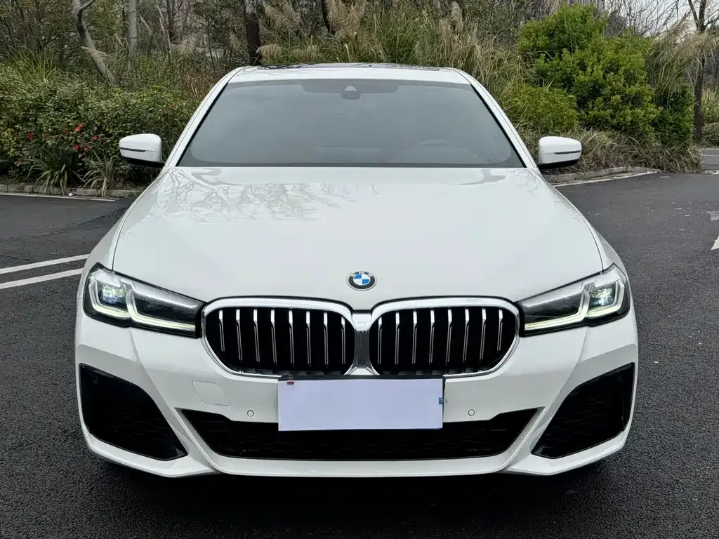 BMW 5 Series (Import) 2021 из CN, фото 3