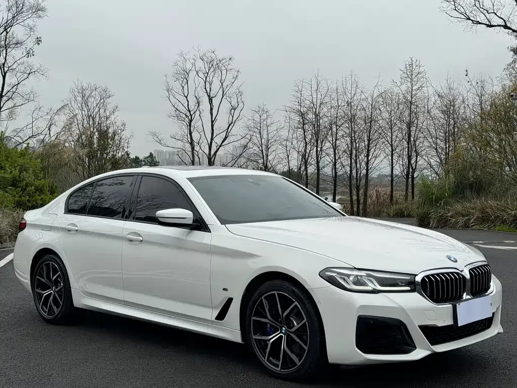 BMW 5 Series (Import) 2021 из CN, фото 7