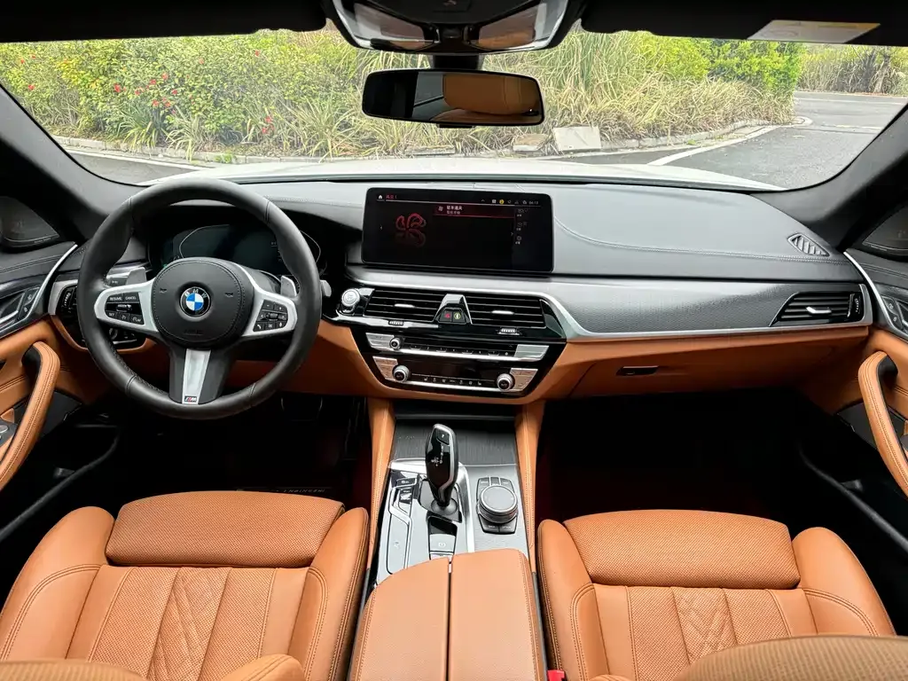 BMW 5 Series (Import) 2021 из CN, фото 9
