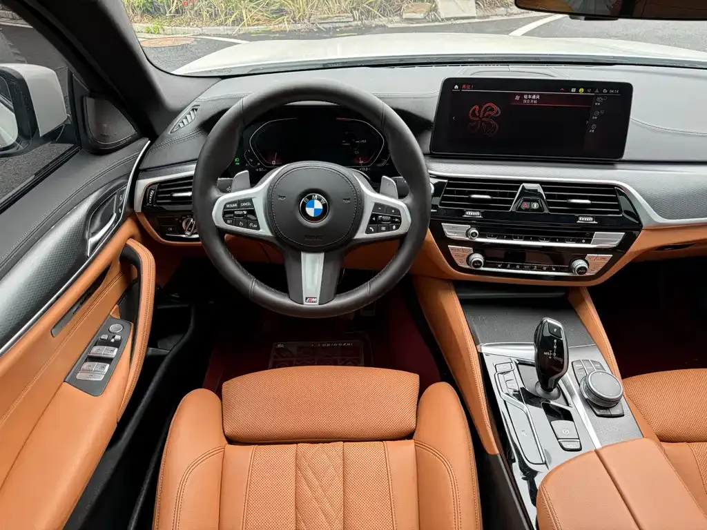 BMW 5 Series (Import) 2021 из CN, фото 4