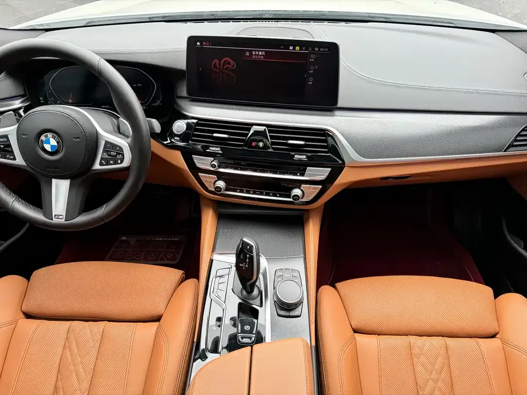 BMW 5 Series (Import) 2021 из CN, фото 6