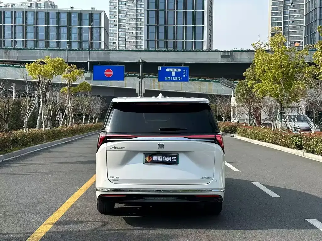 Buick GL8 Hybrid — фото 9