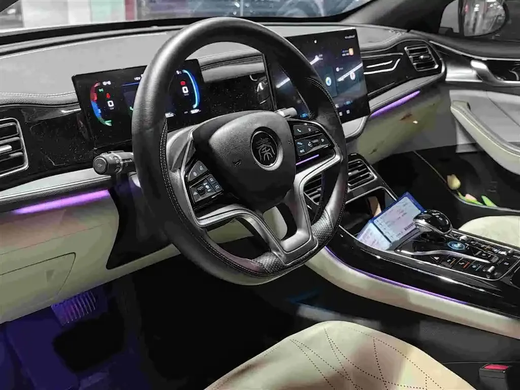 BYD Qin PLUS — фото 8