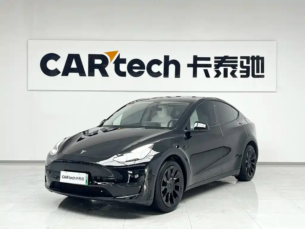 Tesla Model Y — фото 1