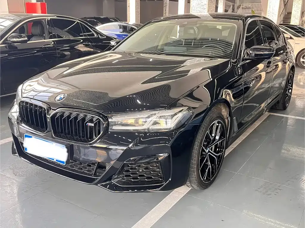 BMW 5 Series 2021 из CN, фото 1