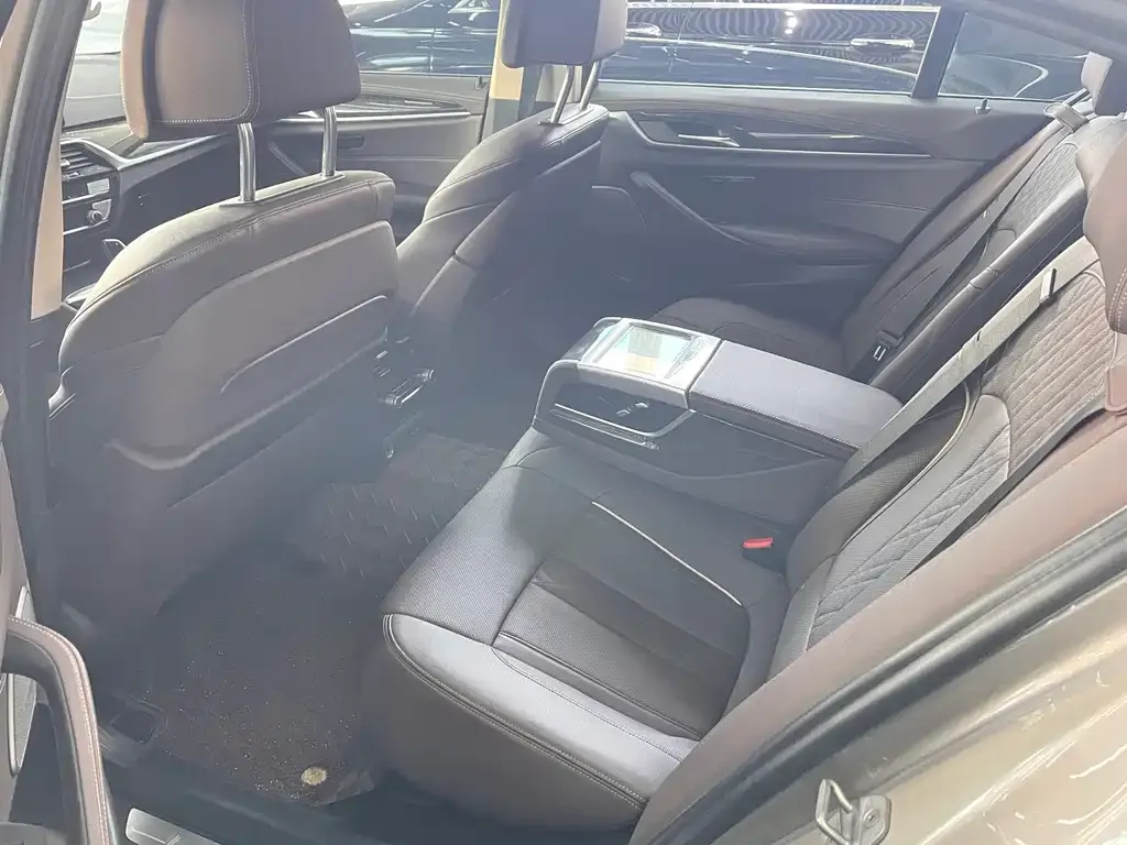 BMW 5 Series 2021 из CN, фото 6