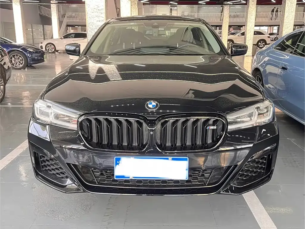 BMW 5 Series 2021 из CN, фото 10