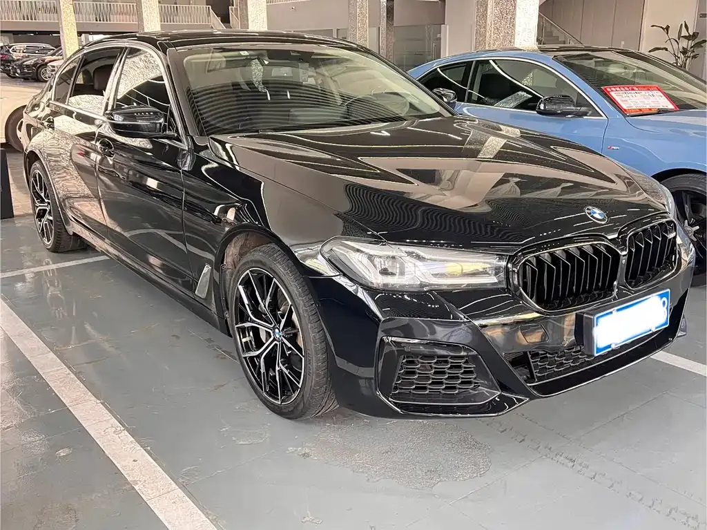 BMW 5 Series 2021 из CN, фото 7