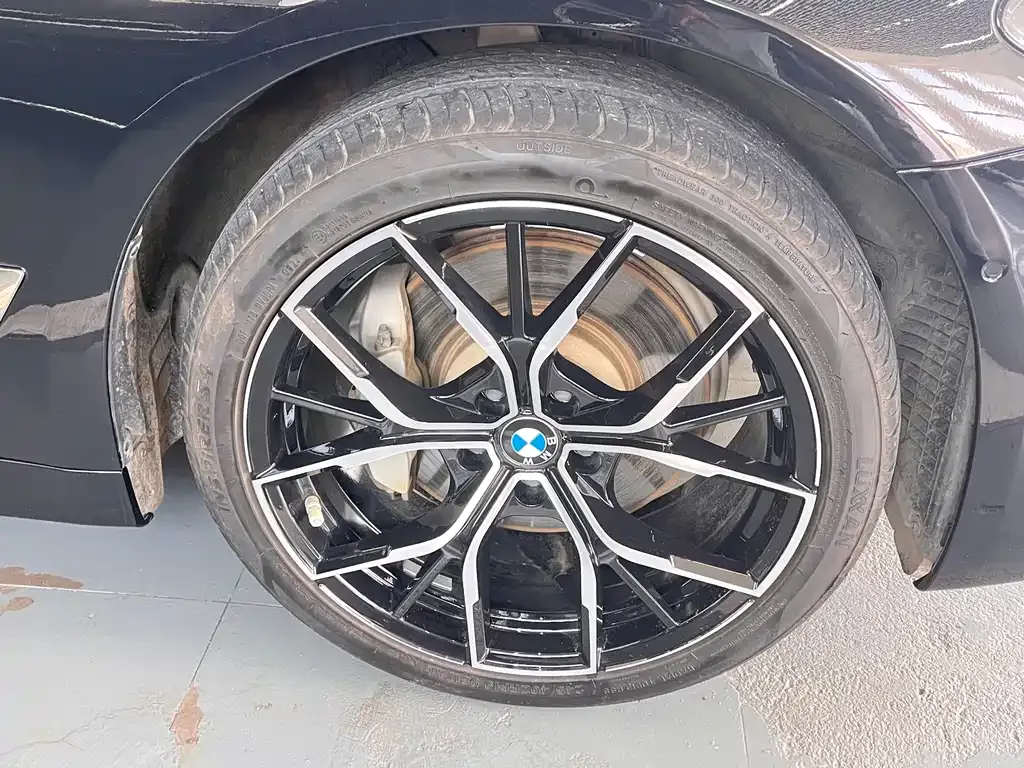 BMW 5 Series 2021 из CN, фото 9