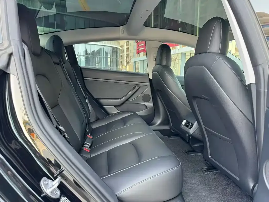 Tesla Model 3 2023 из CN, фото 2