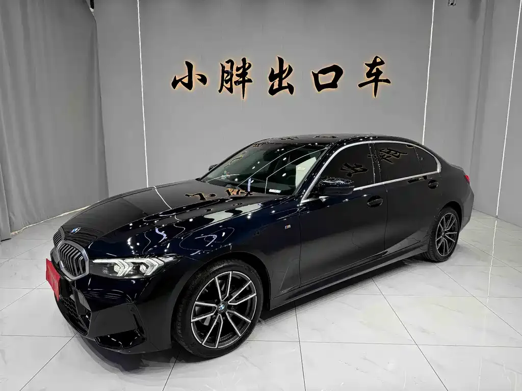 BMW 3 Series 320Li M Sport