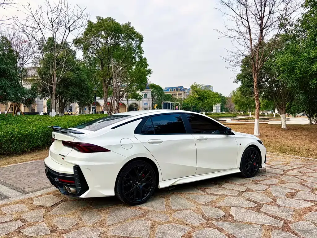 GAC Motor Shadow Leopard — фото 7