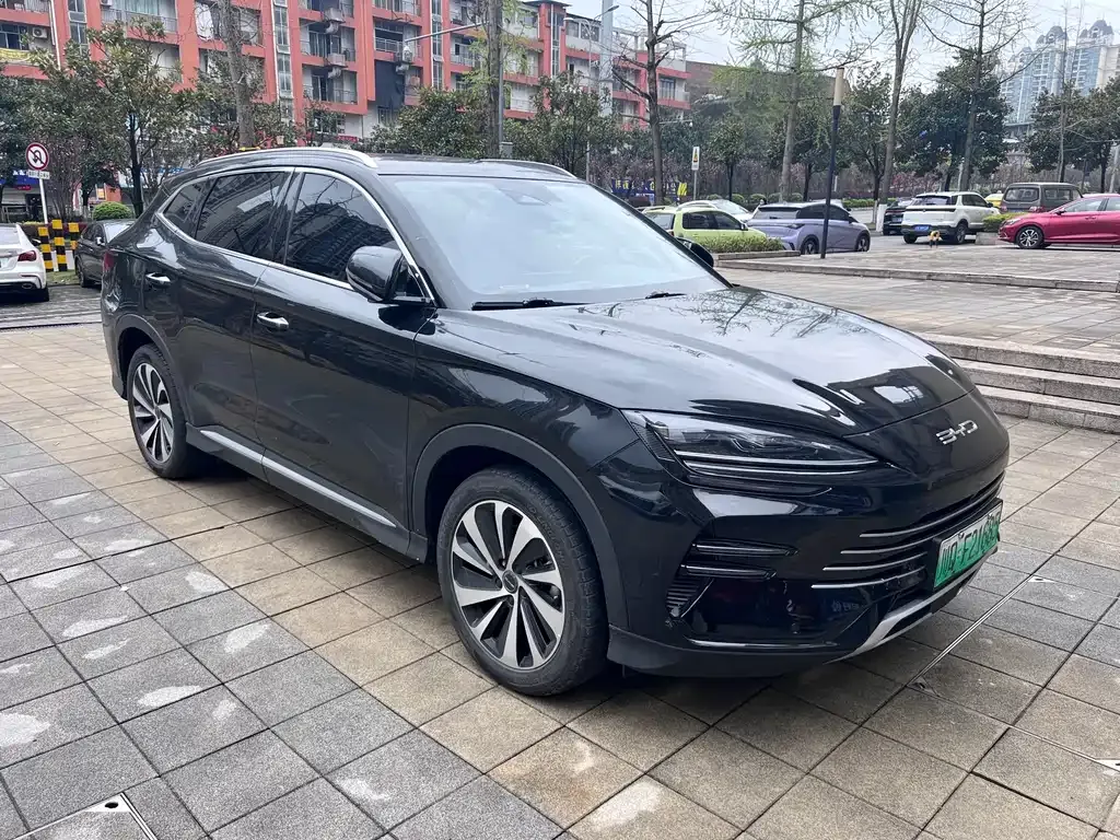 BYD PLUS New Energy 2023 из CN, фото 9