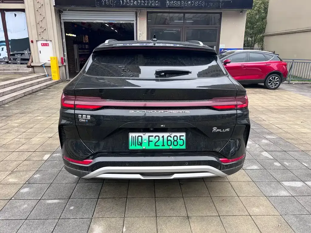 BYD PLUS New Energy 2023 из CN, фото 6