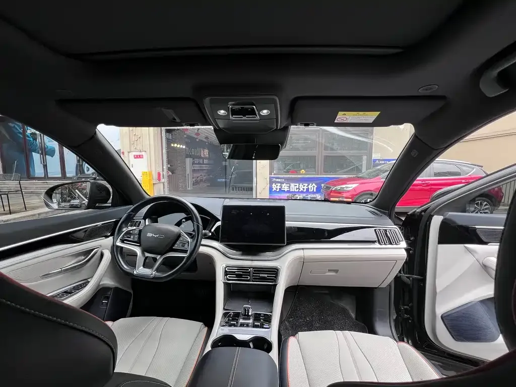BYD PLUS New Energy 2023 из CN, фото 4