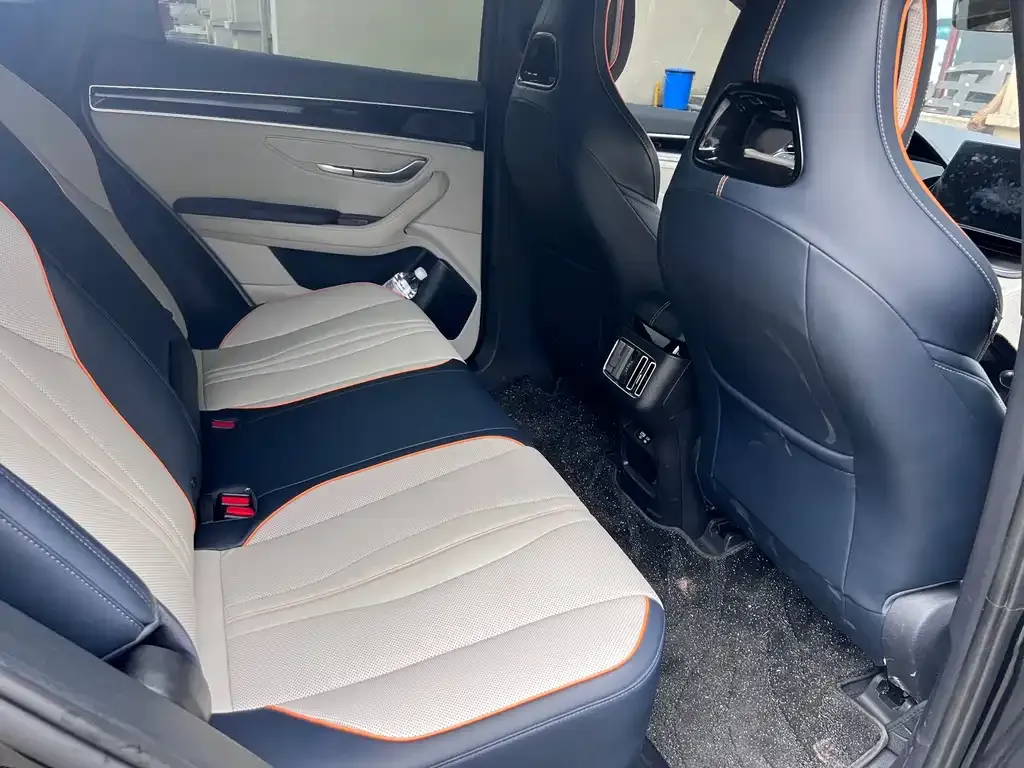 BYD PLUS New Energy 2023 из CN, фото 3