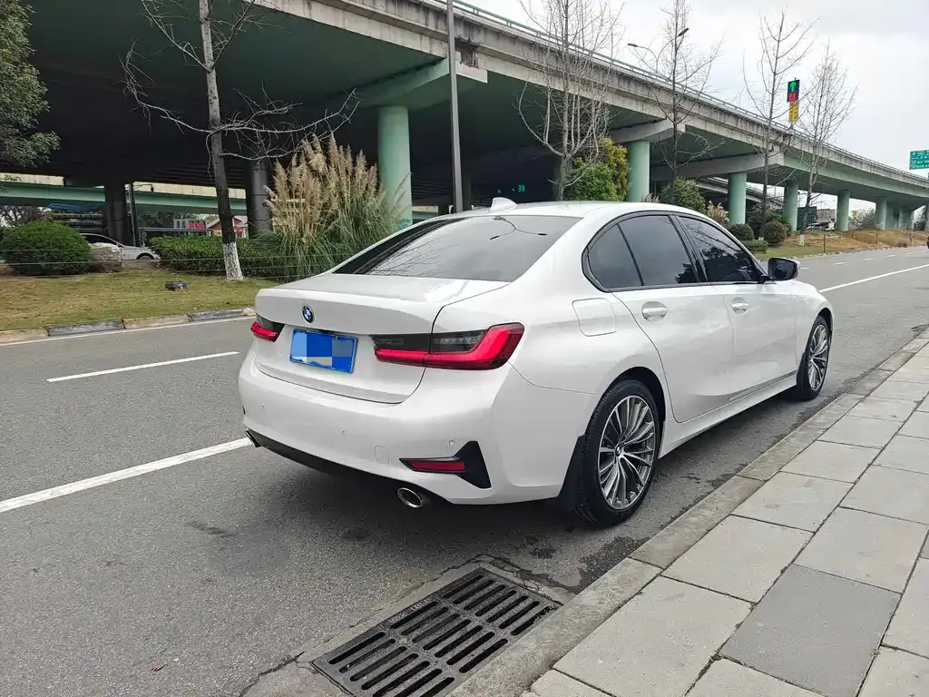 BMW 3 Series 2022 из CN, фото 6