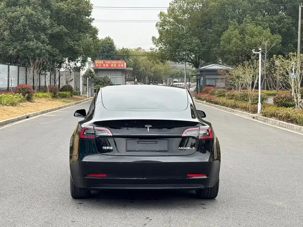 Tesla Model 3 2022 из CN, фото 7