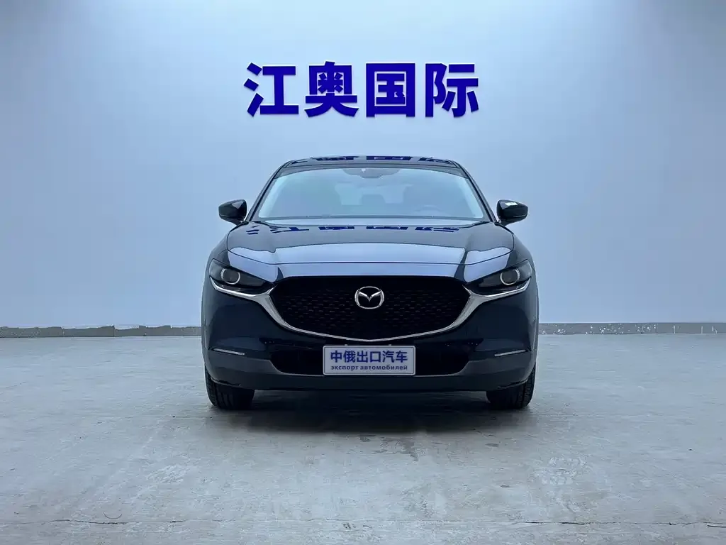 Mazda CX-30 2021 из CN, фото 6