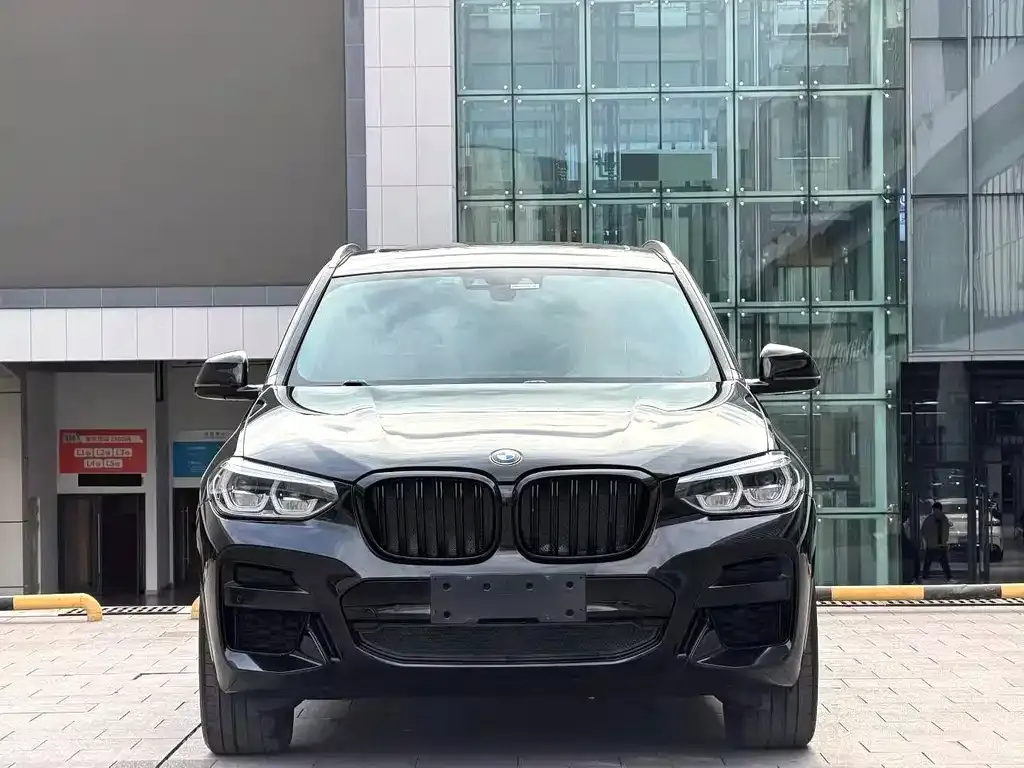 BMW X3 2021 из CN, фото 6