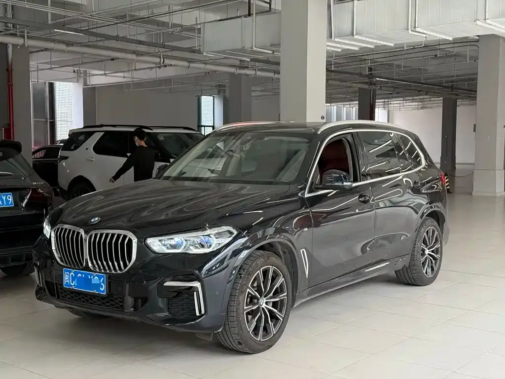 BMW X5 2022 из CN, фото 1