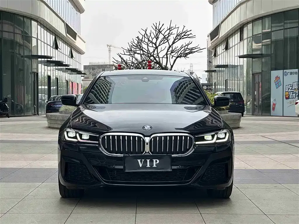 BMW 5 Series 2022 из CN, фото 5