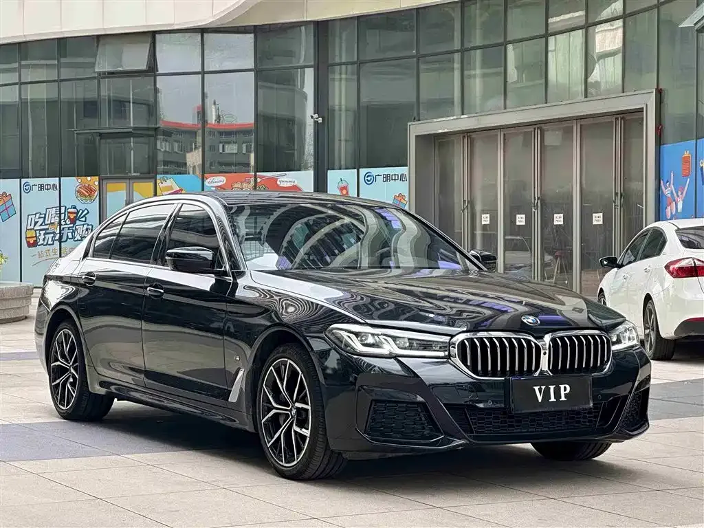 BMW 5 Series 2022 из CN, фото 3