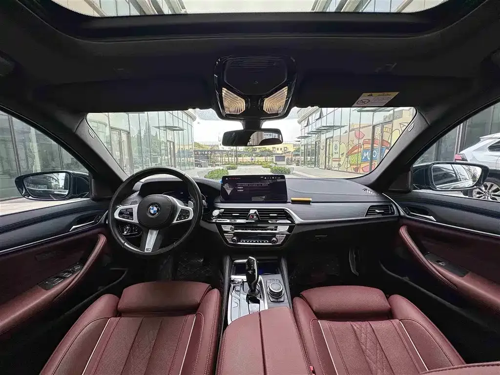 BMW 5 Series 2022 из CN, фото 6