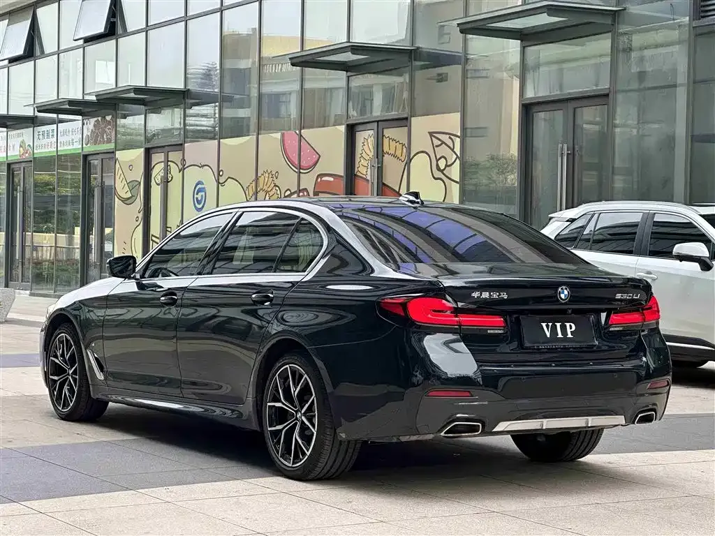 BMW 5 Series 2022 из CN, фото 8