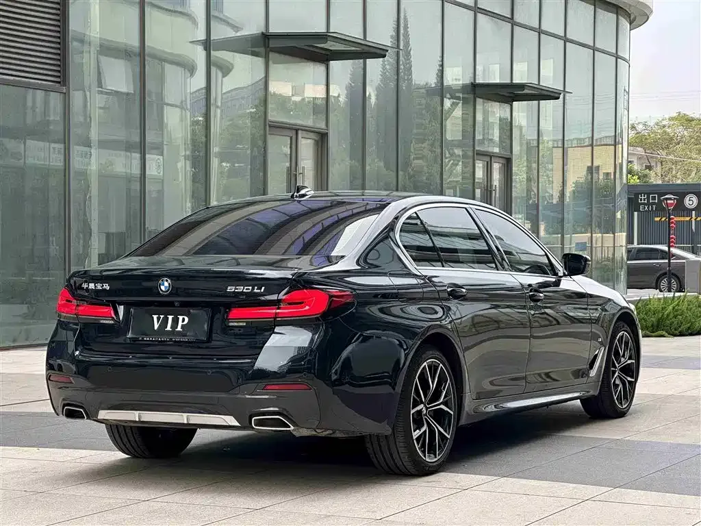 BMW 5 Series 2022 из CN, фото 9